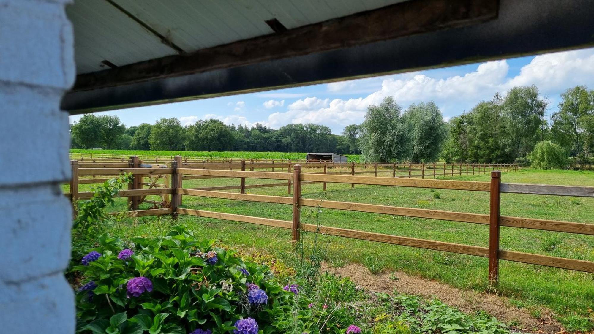Boshovense Velden Villa Grobbendonk Dış mekan fotoğraf